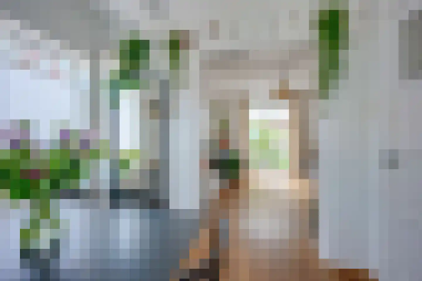 Elsstraat 55 Utrecht thumbnail 10