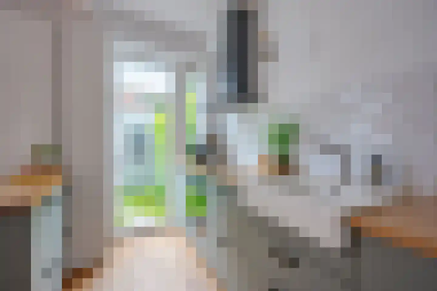 Elsstraat 55 Utrecht thumbnail 17