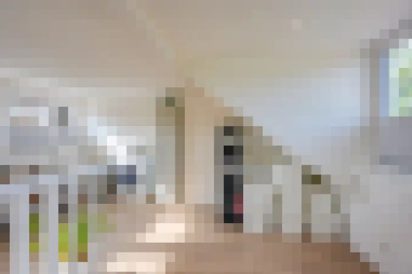 Elsstraat 55 Utrecht thumbnail 33