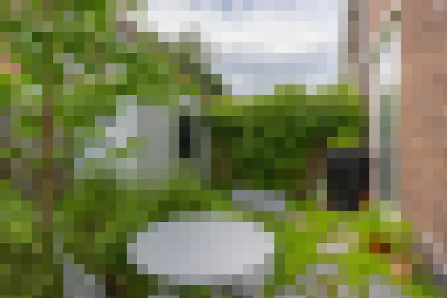 Elsstraat 55 Utrecht thumbnail 38