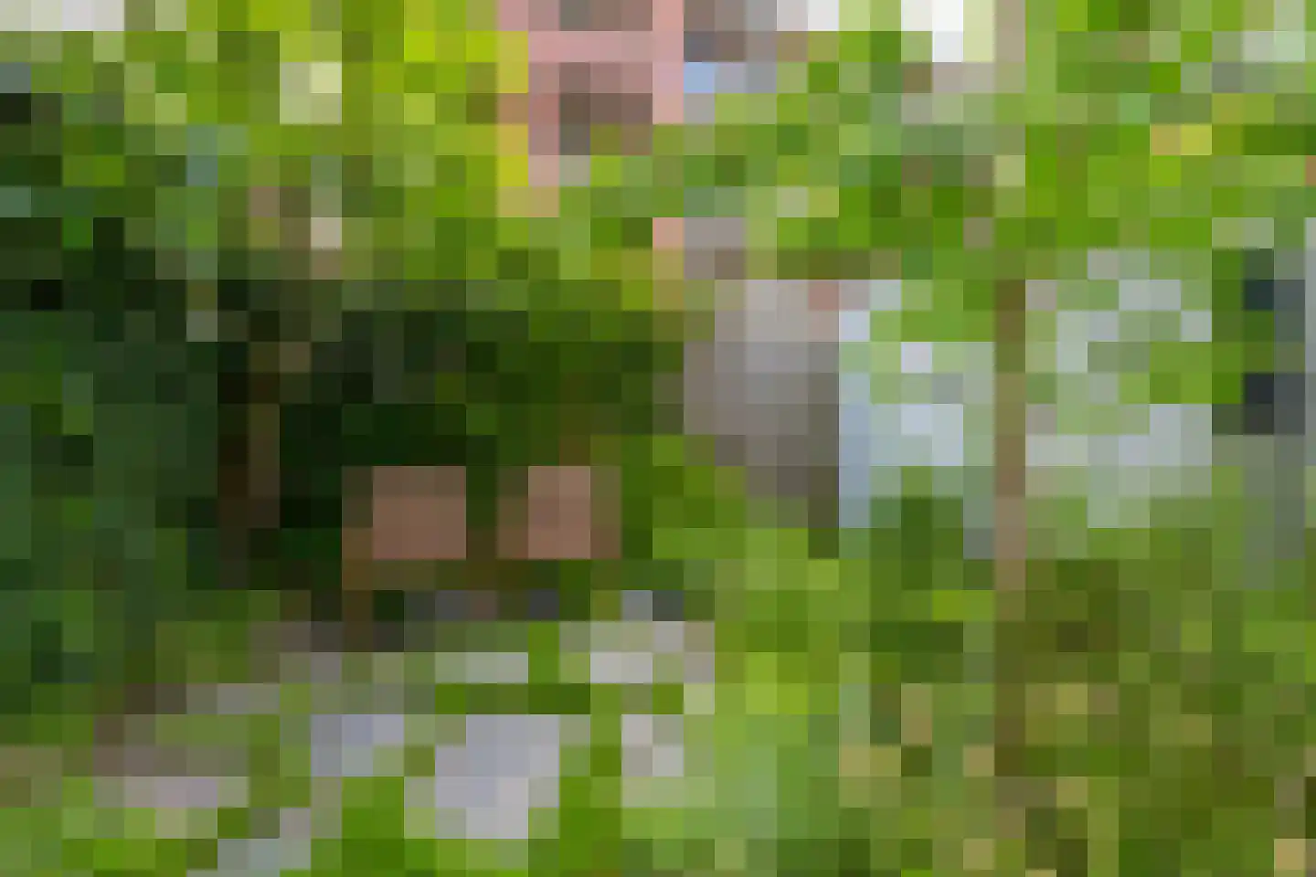 Elsstraat 55 Utrecht thumbnail 39