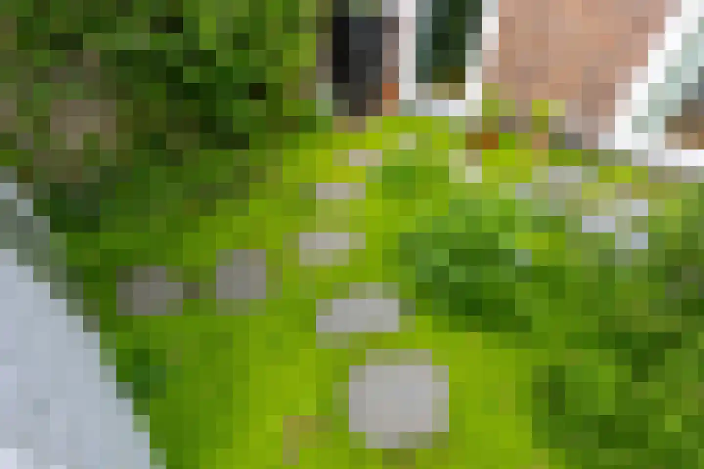 Elsstraat 55 Utrecht thumbnail 41