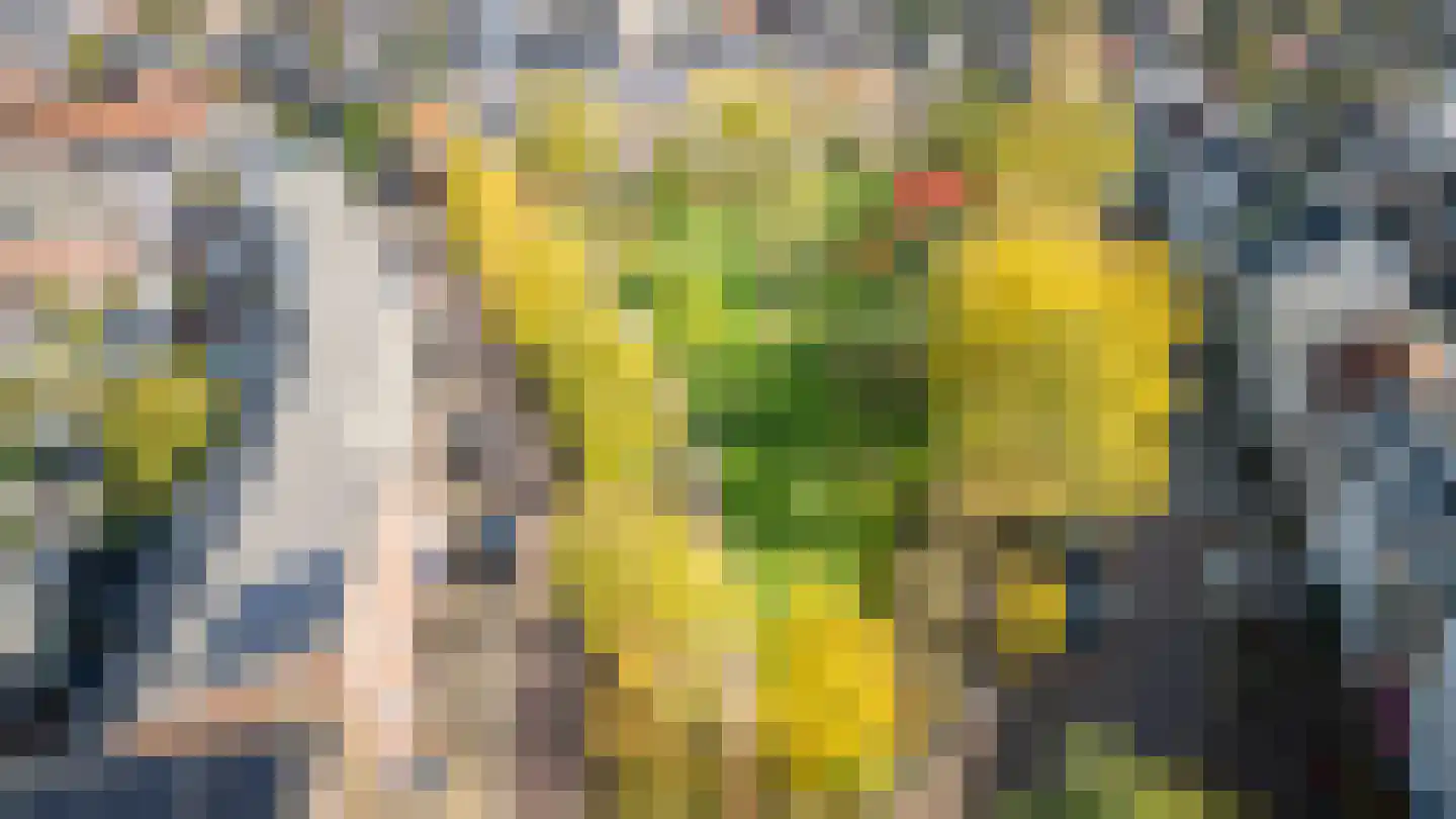 Elsstraat 55 Utrecht thumbnail 49