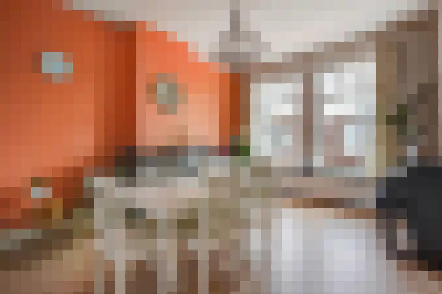 Elsstraat 77 Den Haag thumbnail 10