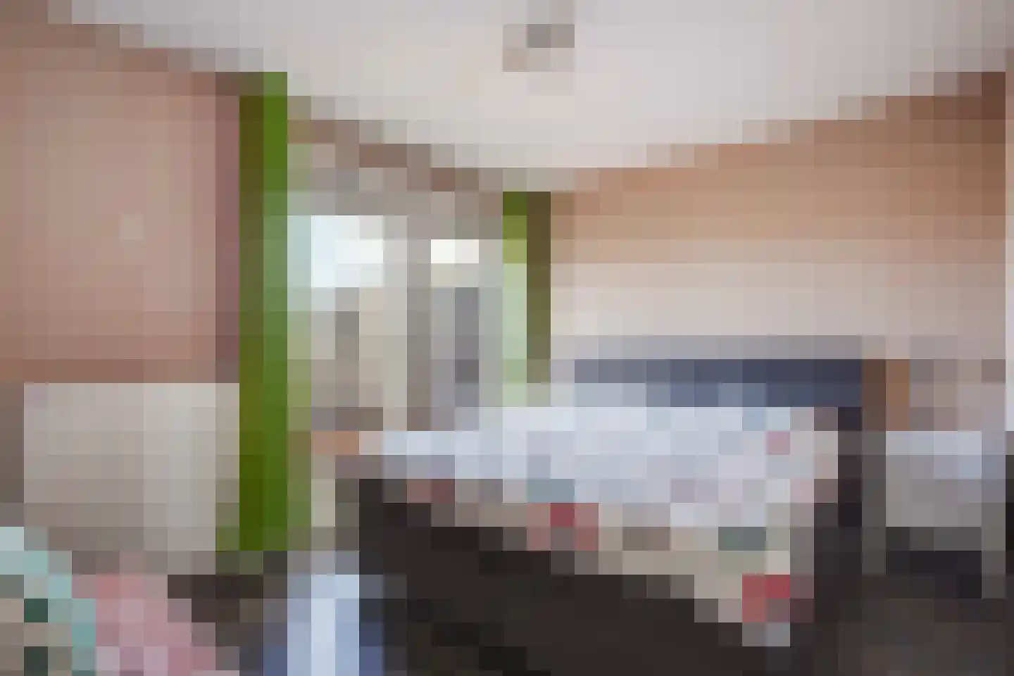 Elsstraat 77 Den Haag thumbnail 35