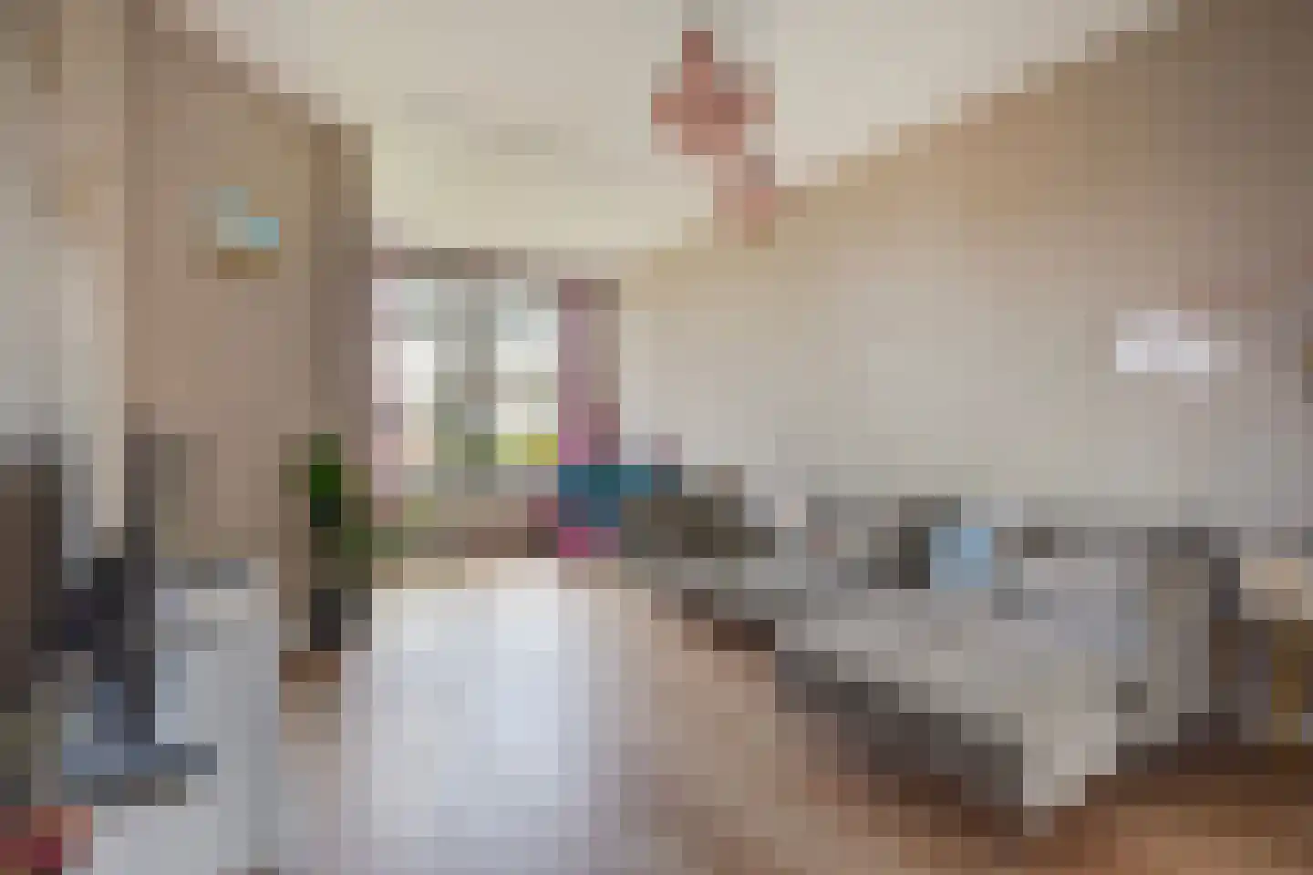 Elsstraat 77 Den Haag thumbnail 6