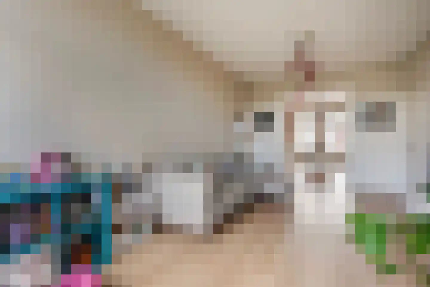 Elsstraat 77 Den Haag thumbnail 7