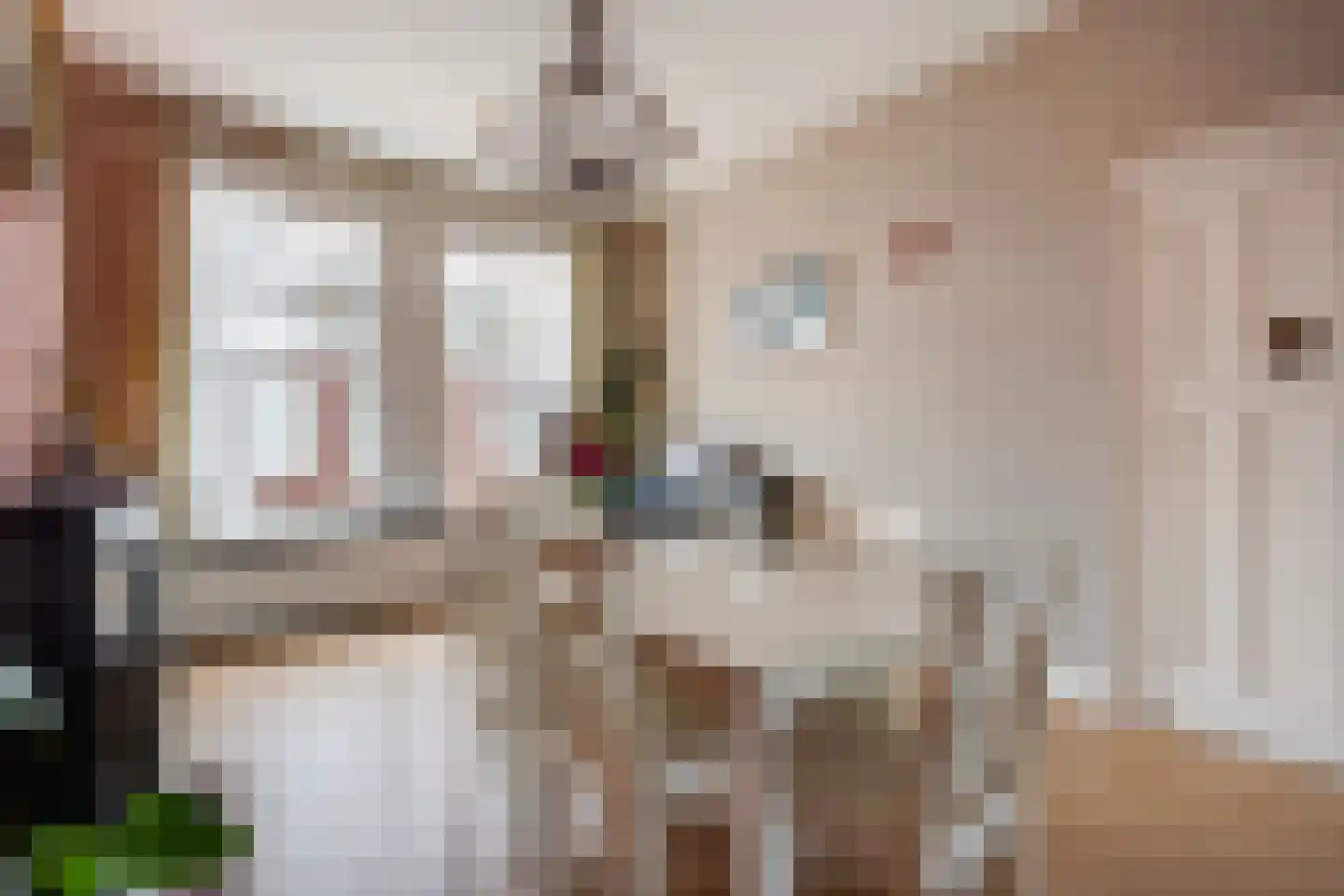 Elsstraat 77 Den Haag thumbnail 9