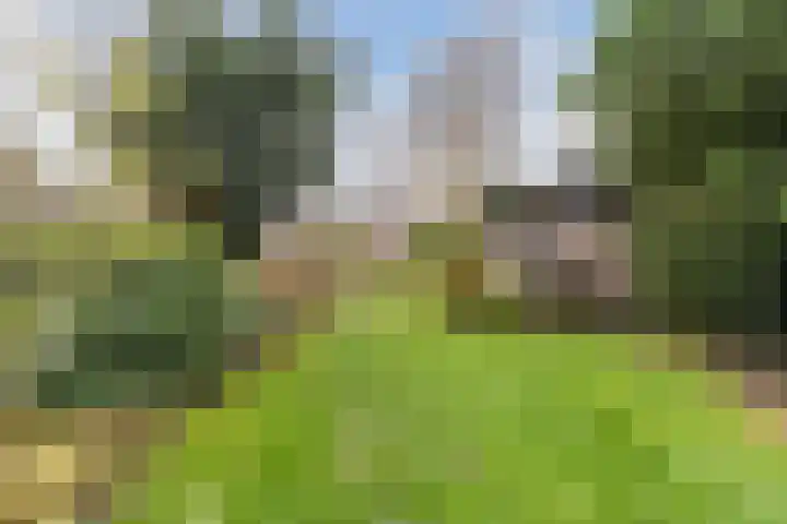 Elsstraat 79 Breda thumbnail 33