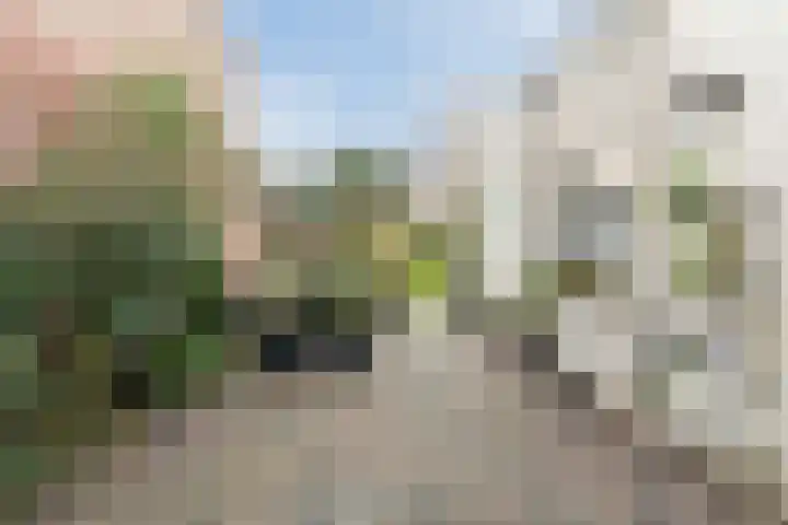 Elsstraat 79 Breda thumbnail 6