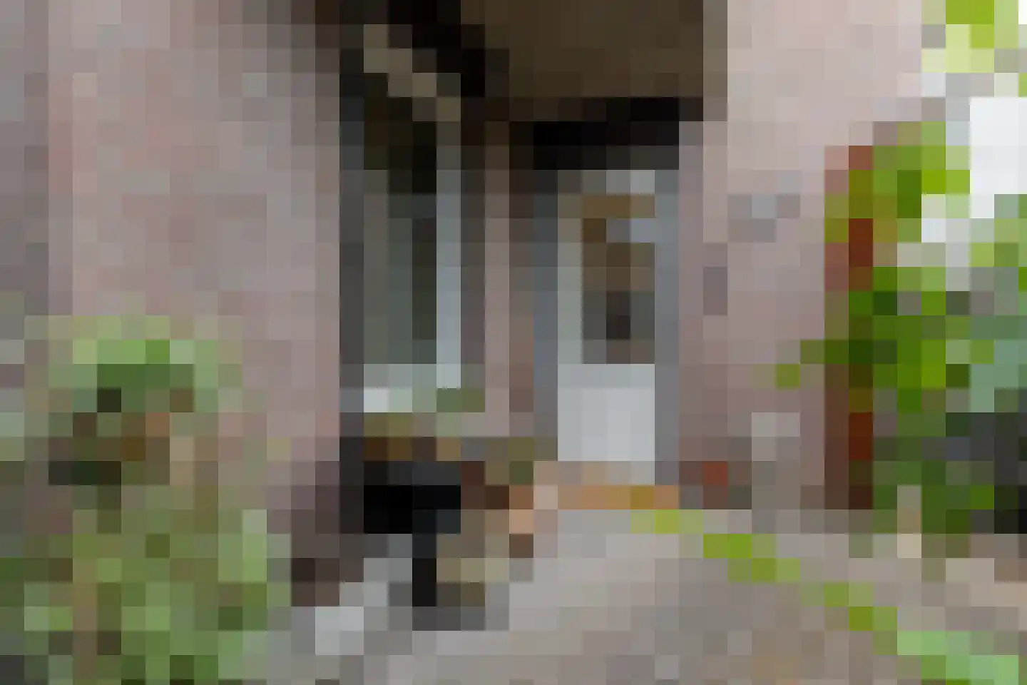 Elsstraat 9 Beek thumbnail 17
