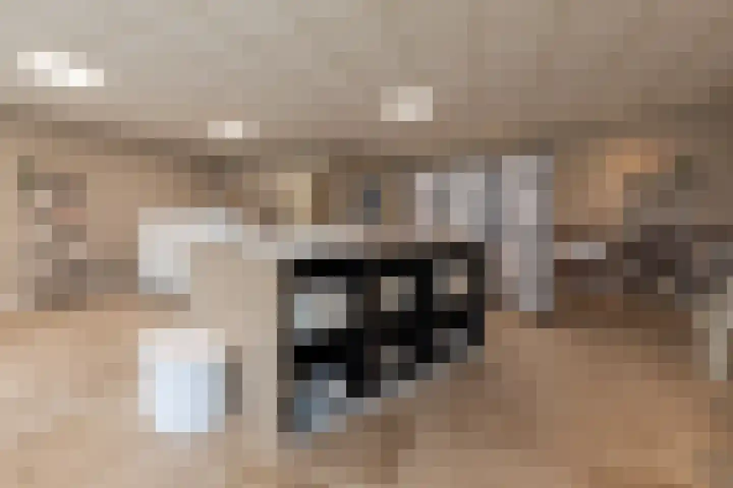 Elsstraat 9 Beek thumbnail 26