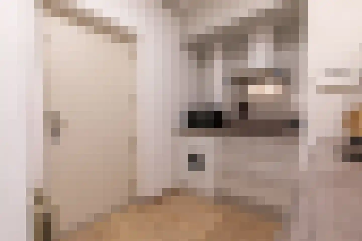Elsstraat 9 Beek thumbnail 8