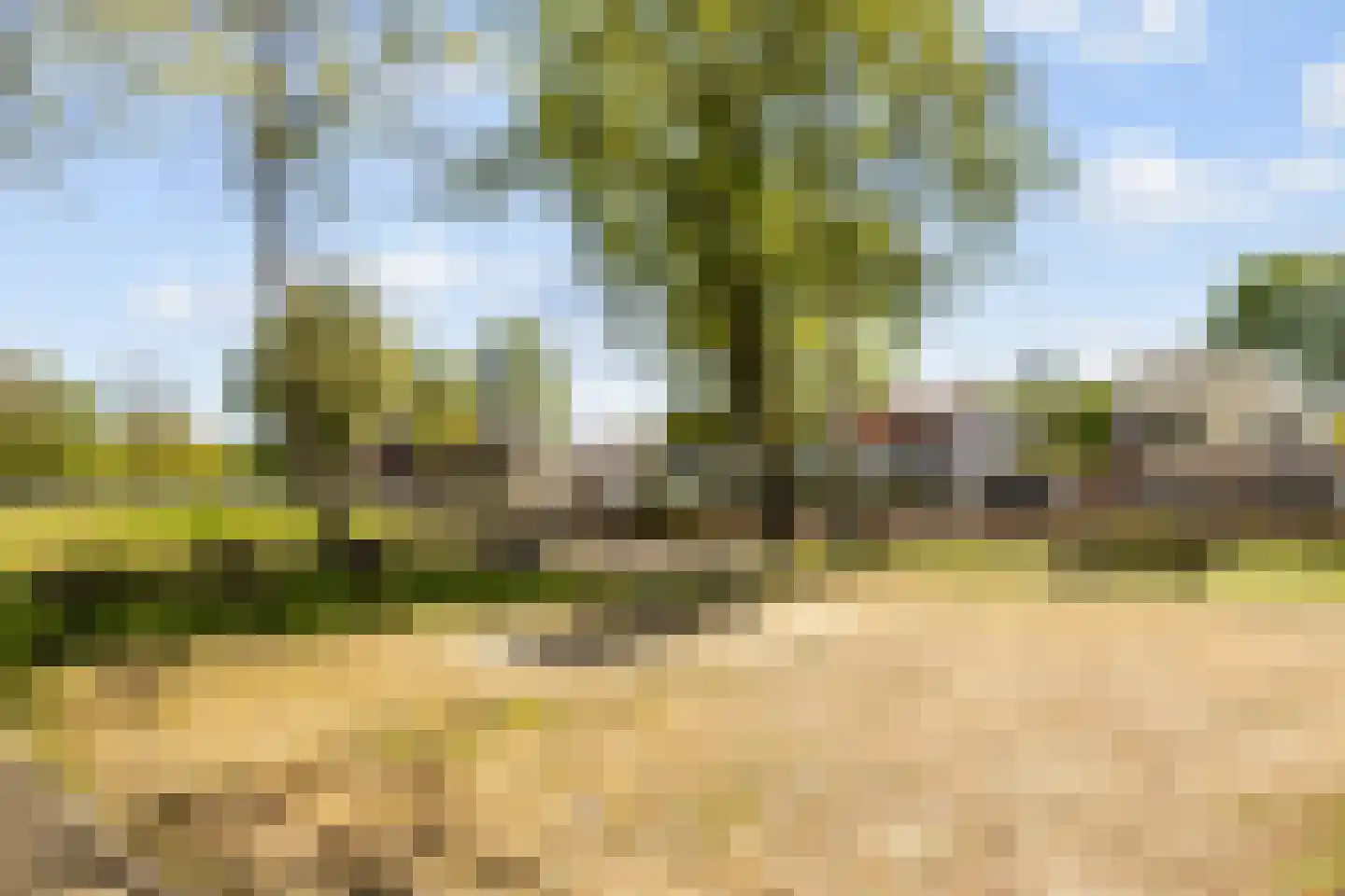 Elsstraat 90 Breda thumbnail 31