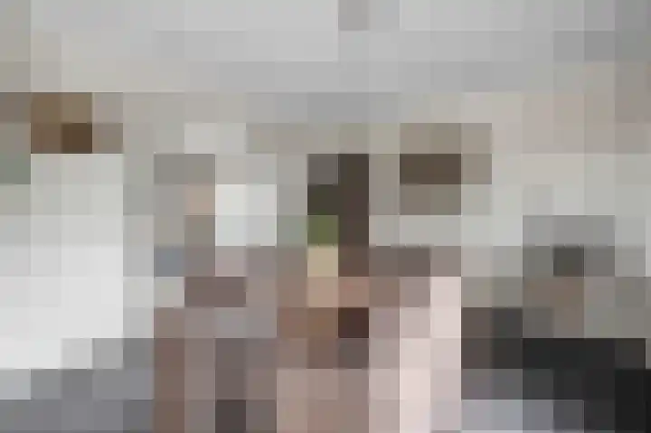 Elst 3 Geffen thumbnail 18