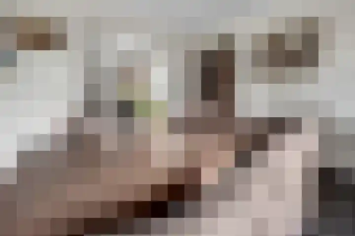 Elst 3 Geffen thumbnail 19