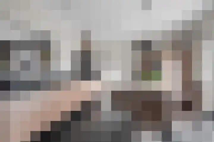 Elst 3 Geffen foto 3