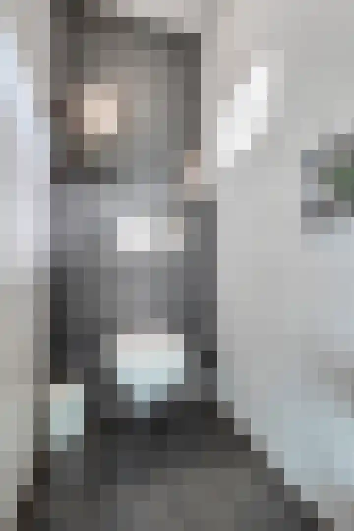 Elst 3 Geffen thumbnail 37
