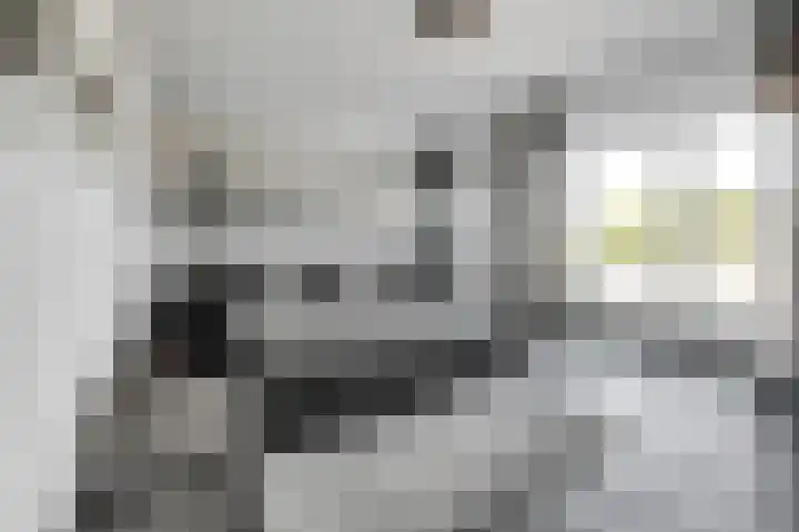 Elst 3 Geffen thumbnail 4
