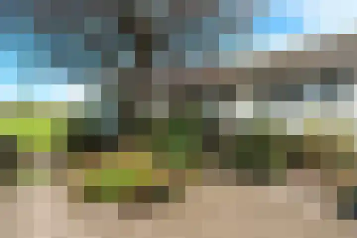 Elst 3 Geffen thumbnail 55