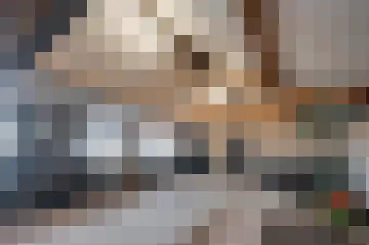 Elst 3 Geffen thumbnail 57