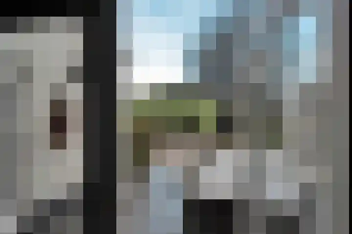 Elst 3 Geffen thumbnail 67