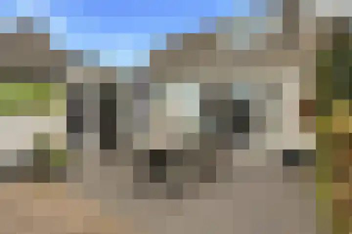 Elst 3 Geffen thumbnail 68