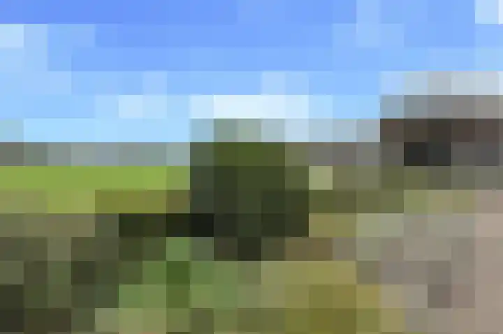 Elst 3 Geffen thumbnail 72