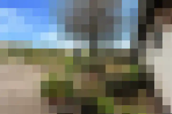 Elst 3 Geffen thumbnail 76