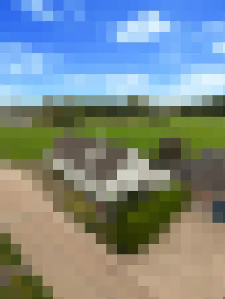 Elst 3 Geffen thumbnail 82