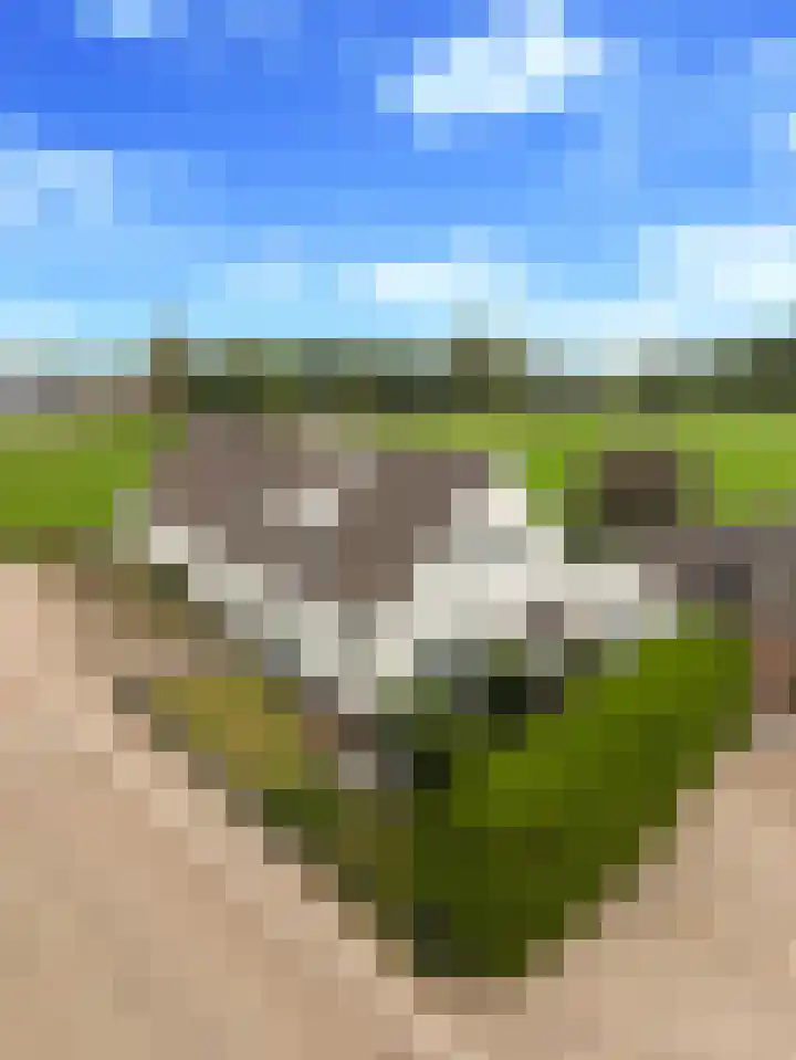 Elst 3 Geffen thumbnail 83