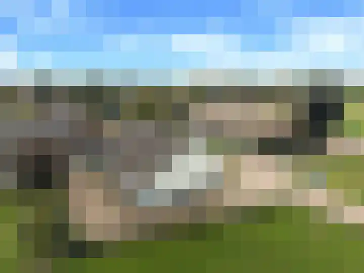 Elst 3 Geffen thumbnail 85