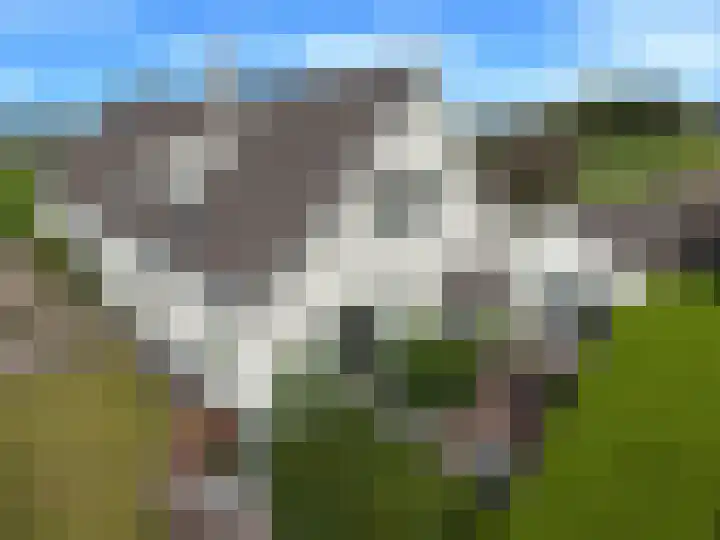 Elst 3 Geffen thumbnail 97