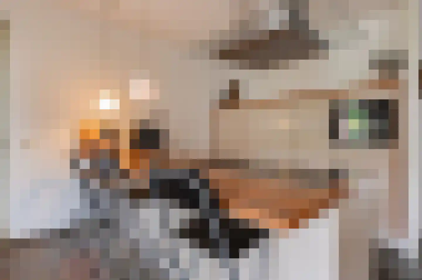 Elstar 12 Buren thumbnail 17