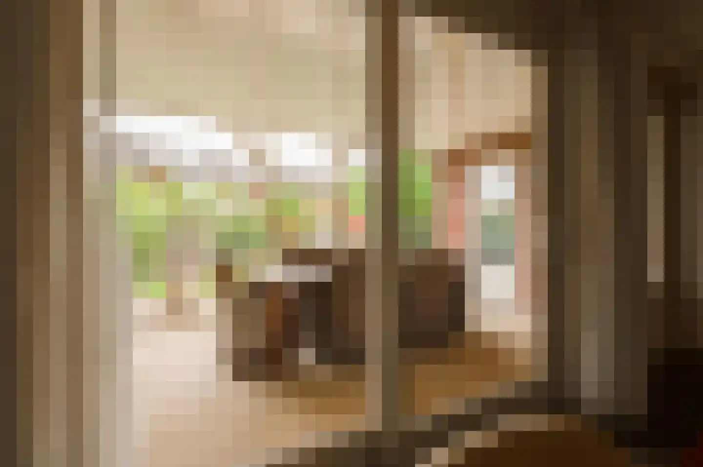 Elstar 12 Buren thumbnail 19