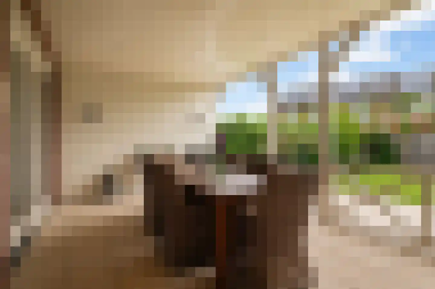 Elstar 12 Buren thumbnail 21