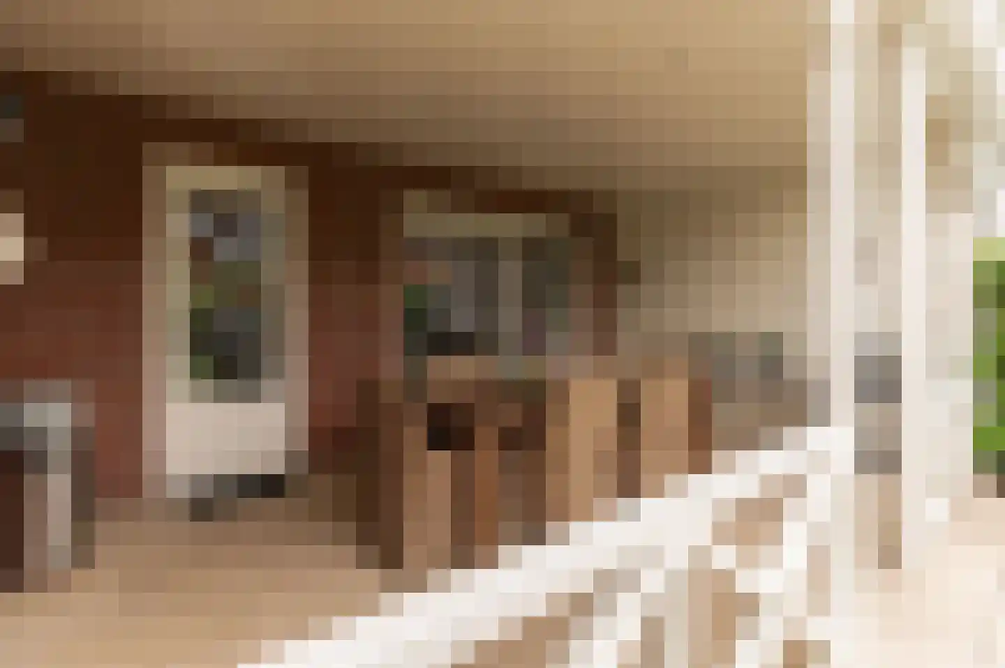 Elstar 12 Buren thumbnail 22