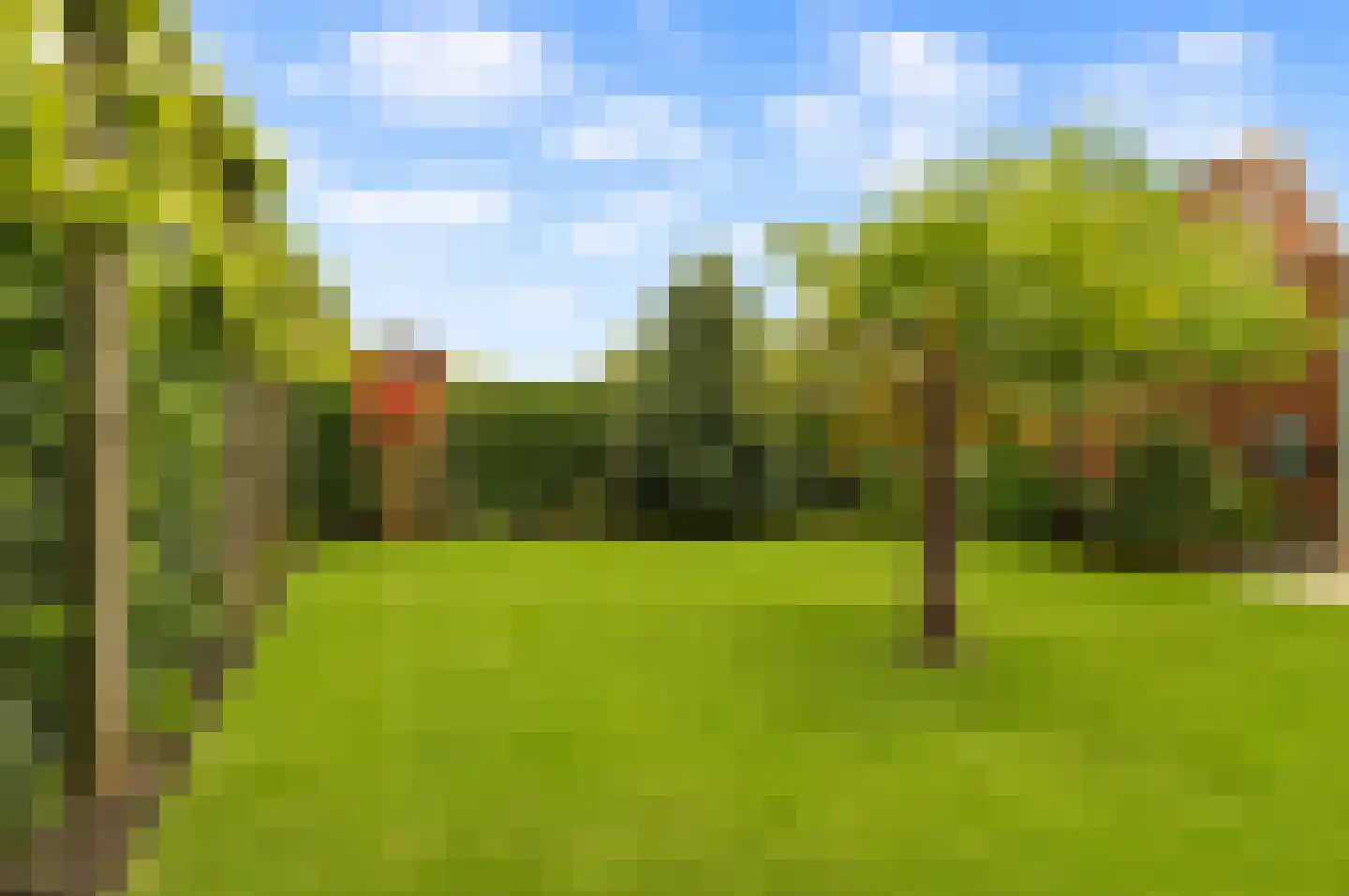 Elstar 12 Buren thumbnail 26