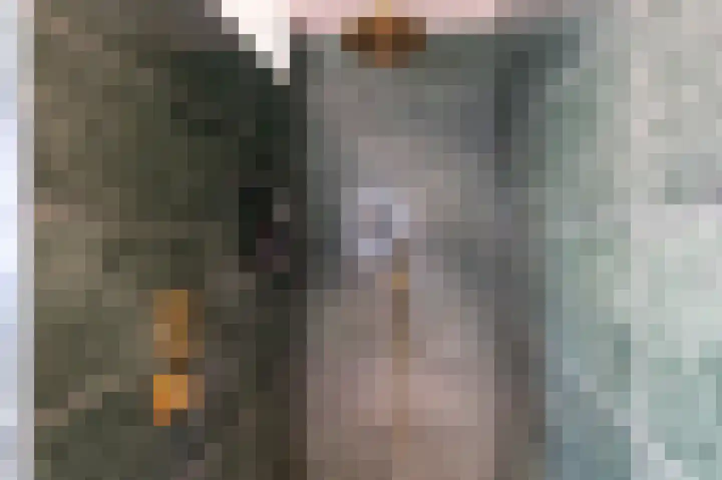 Elstar 12 Buren thumbnail 40