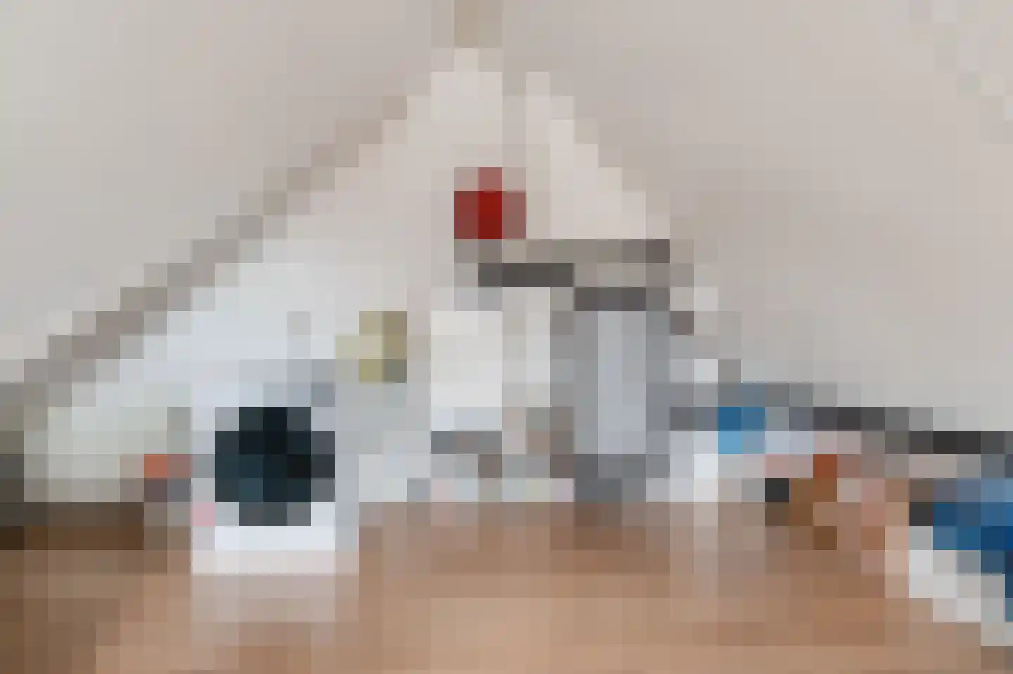 Elstar 12 Buren thumbnail 42