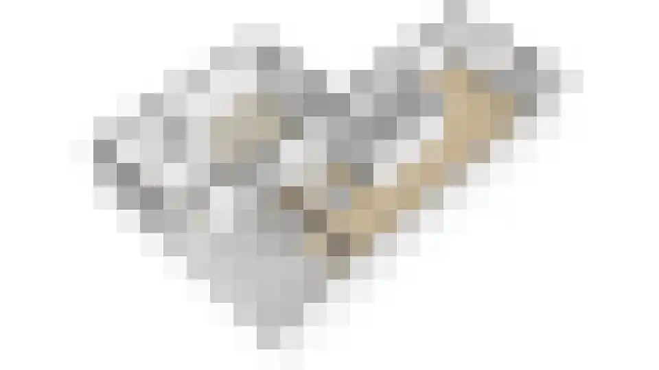 Elstar 12 Buren thumbnail 49