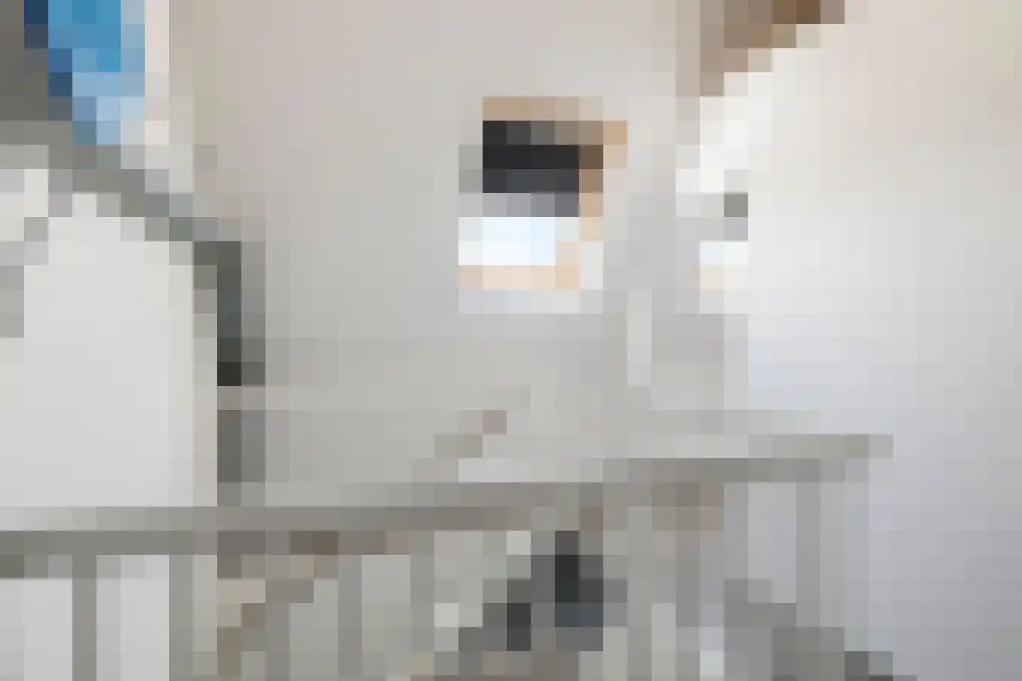 Elstar 13 Buren thumbnail 20