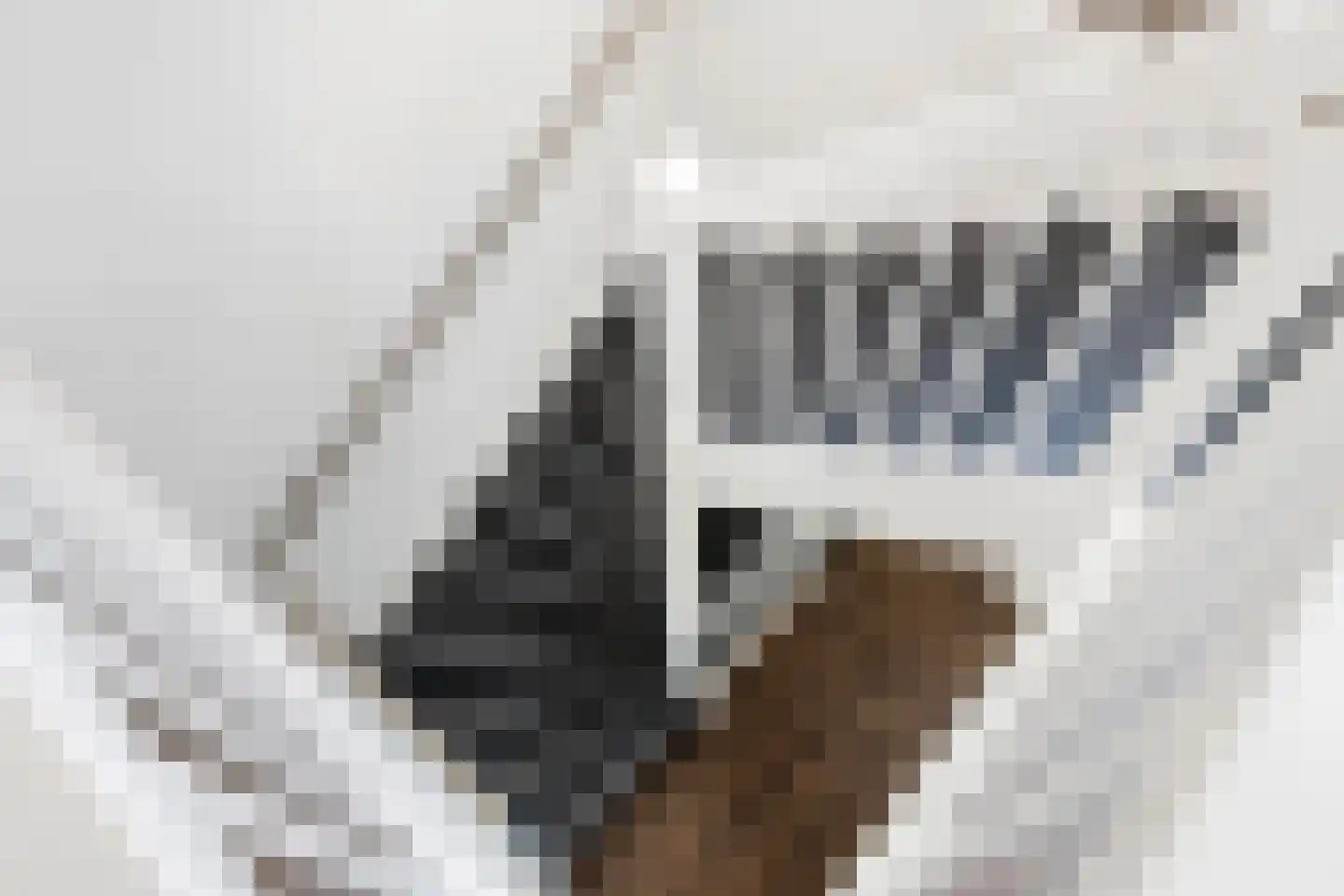 Elstar 13 Buren thumbnail 25