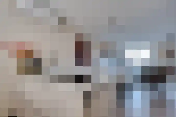 Elstar 15 Assen thumbnail 10