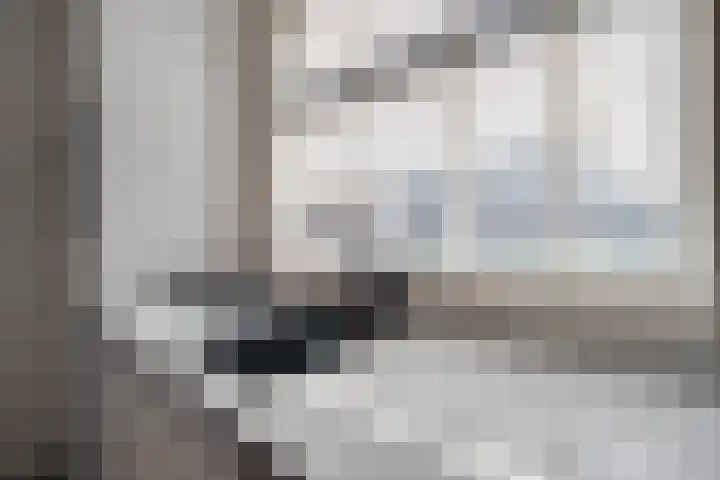 Elstar 15 Assen thumbnail 12