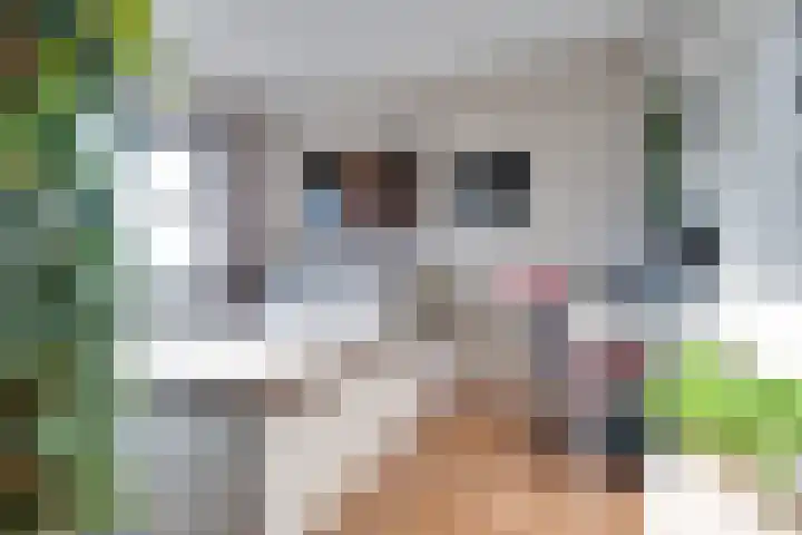 Elstar 15 Assen thumbnail 14