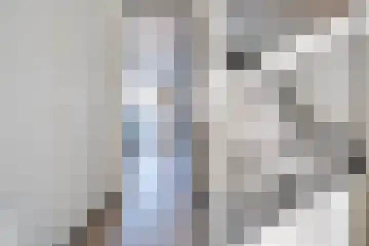 Elstar 15 Assen thumbnail 15
