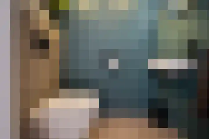 Elstar 15 Assen thumbnail 16