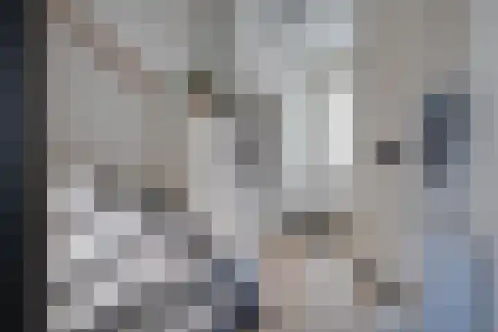 Elstar 15 Assen thumbnail 17