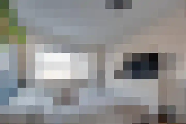 Elstar 15 Assen thumbnail 20